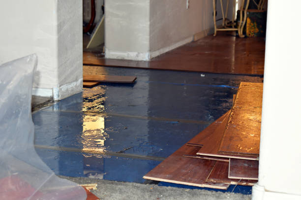 Professional Burst Pipe Cleanup technician working in Bretz, WV